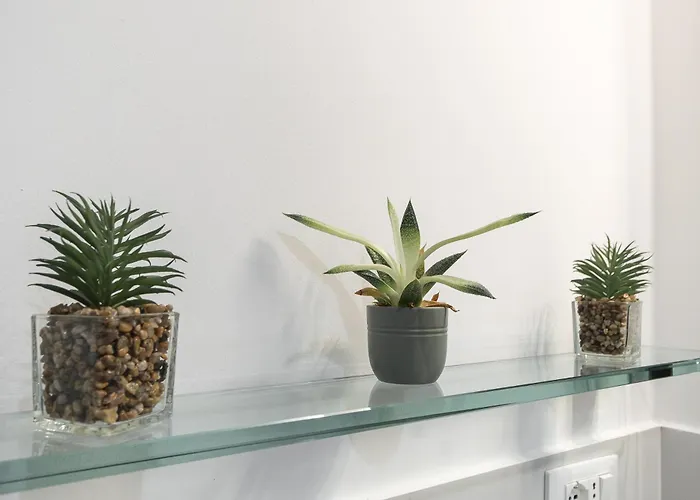 Apartment Il Sogno A Due Passi Dal Mare Vicino Portofino Rapallo